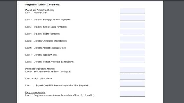 SBA Form 3508EZ