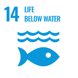 Life below water graphic