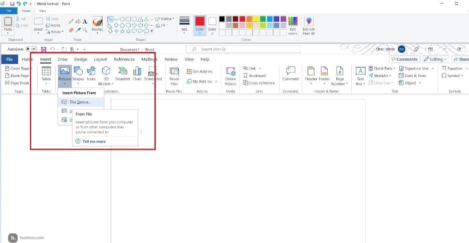 inserting an image in a Microsoft Word doc