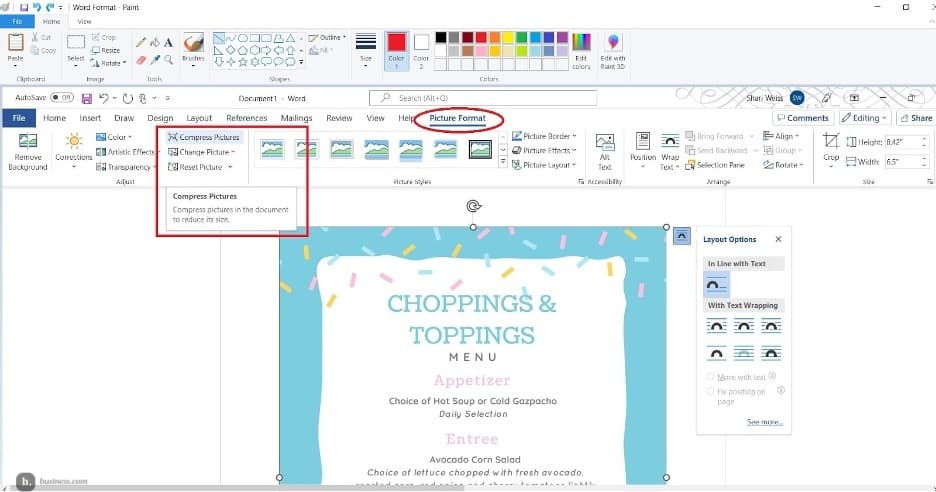 Microsoft Word picture format tab