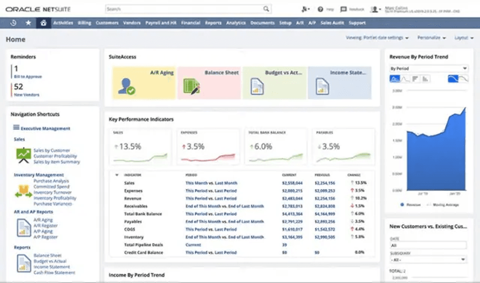NetSuite anayltics