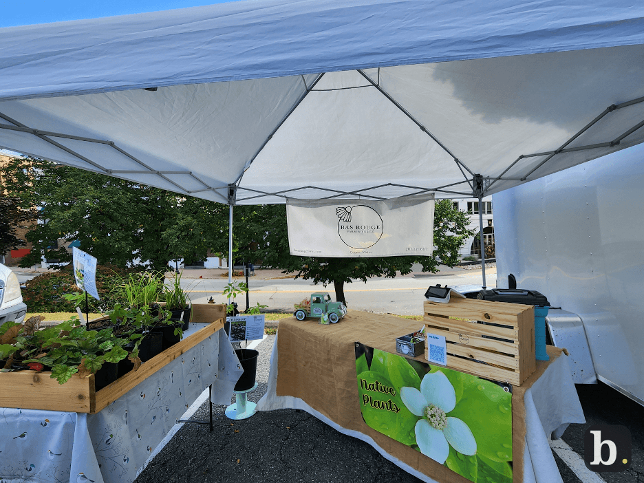 GoDaddy POS system in a craft market booth