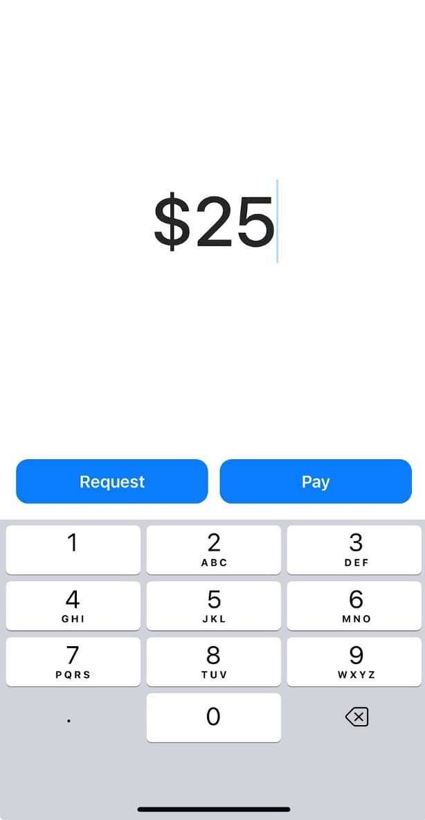meta pay