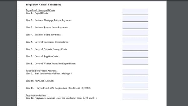 SBA Form 3508EZ