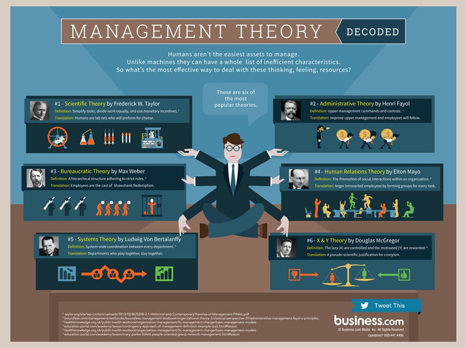 Management theory infographic