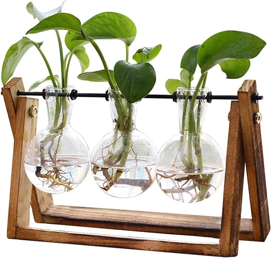XXXFlower tabletop garden