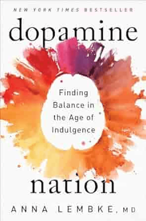 Dopamine Nation book cover