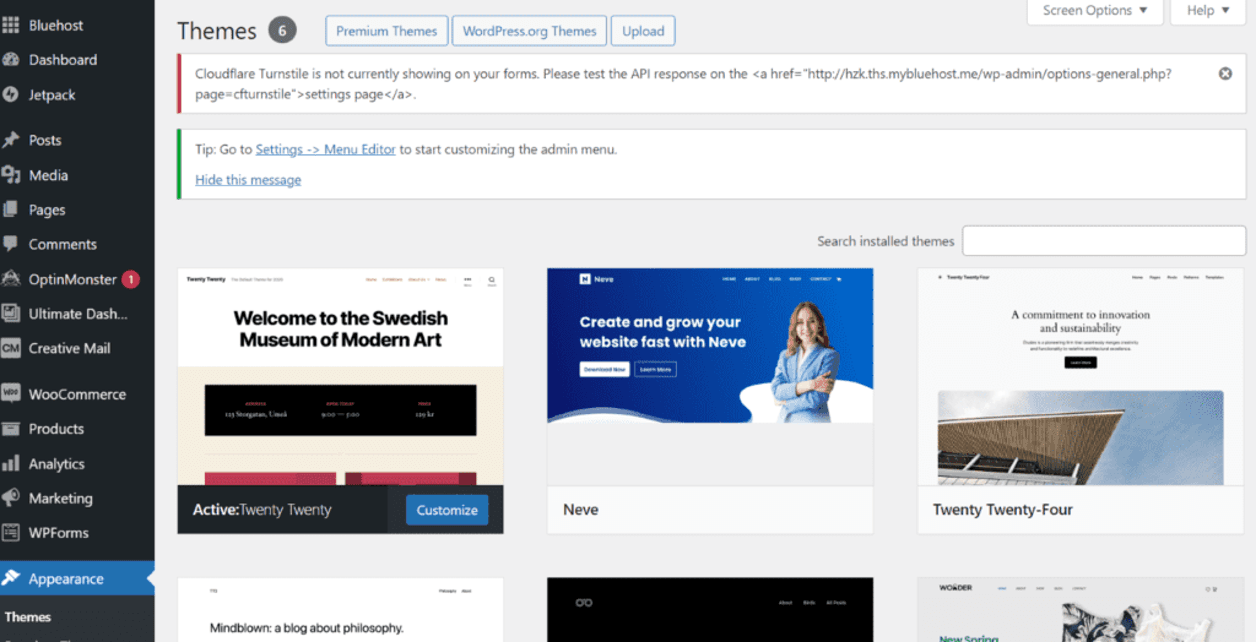 Bluehost WordPress dashboard showing installed website themes