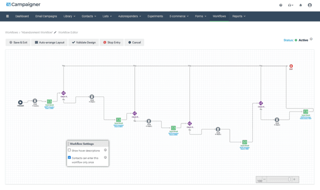 Campaigner workflow builder displaying a multi-step automated email sequence with branching conditions, wait periods and email triggers.