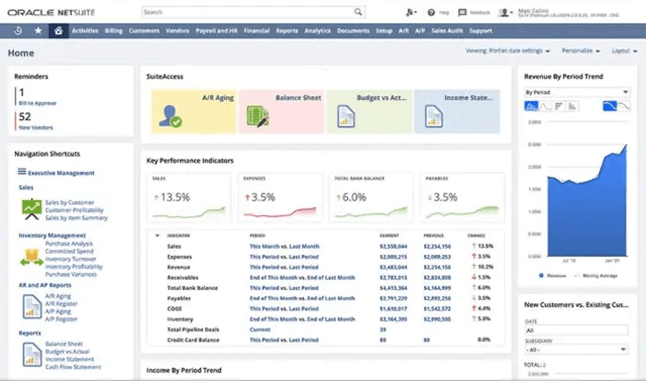 NetSuite anayltics