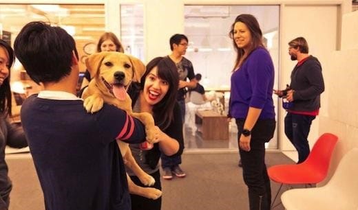man holding a puppy as coworkers smile