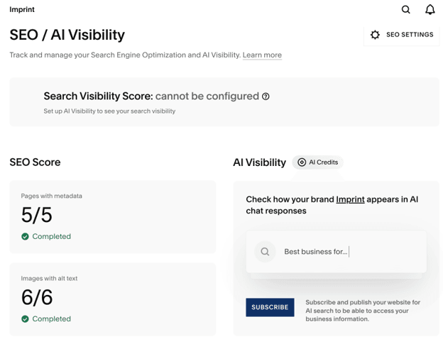 Squarespace’s SEO / AI Visibility dashboard, which includes an AI Visibility chatbot for seeing how a brand appears in AI chat responses. 