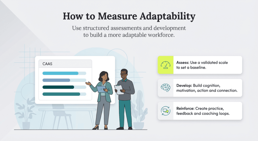 measuring adaptability graphic