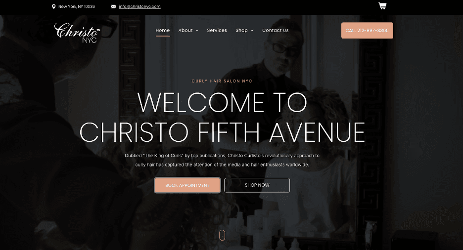 Christo website