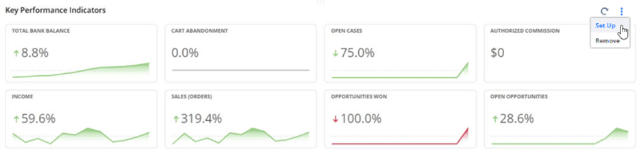 Oracle Netsuite KPI widgets