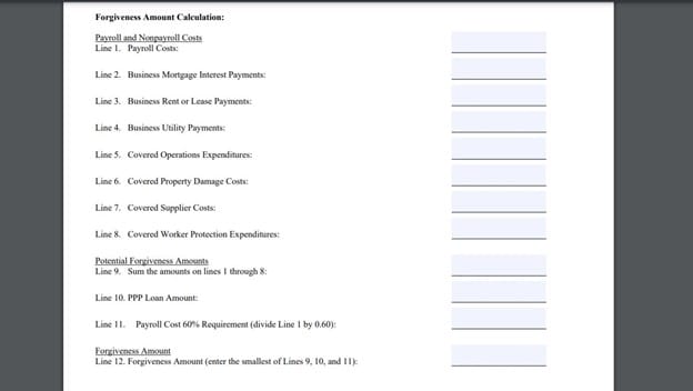 SBA Form 3508EZ