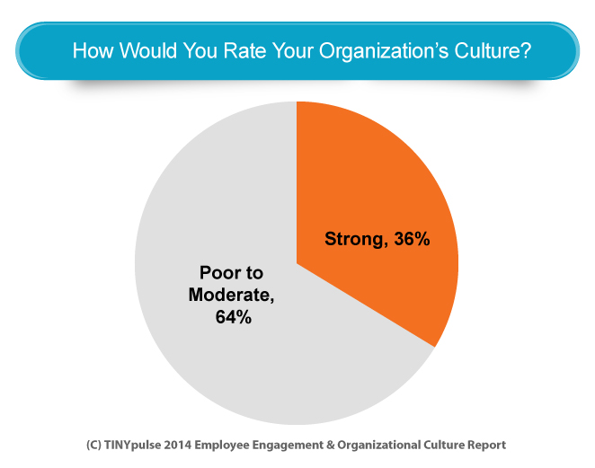 Company Culture Pie Chart