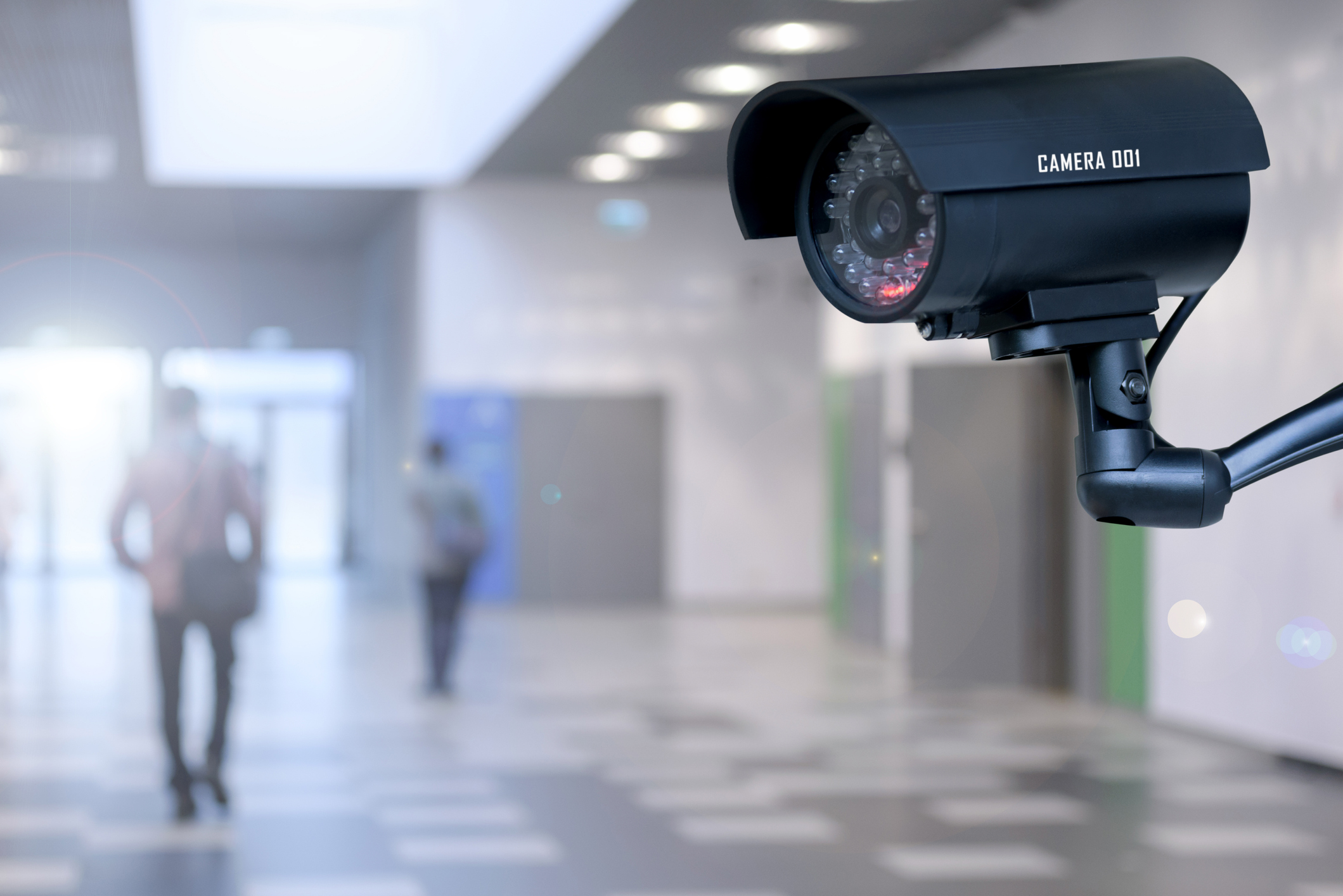 What Are the Best Security Cameras for Small Business? - business.com