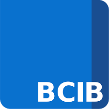 BackgroundChecksInBulk.com