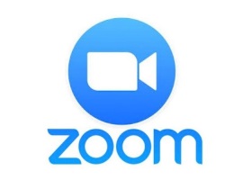 Zoom Review