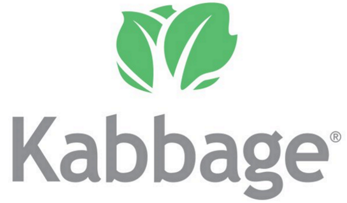 kabbage review 2019 business com eskom financial statements